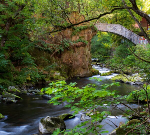 Brücke über den Fluss im Bodetal im Harz