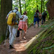 Gruppe von Wanderern im Pfälzerwald, Deutschland