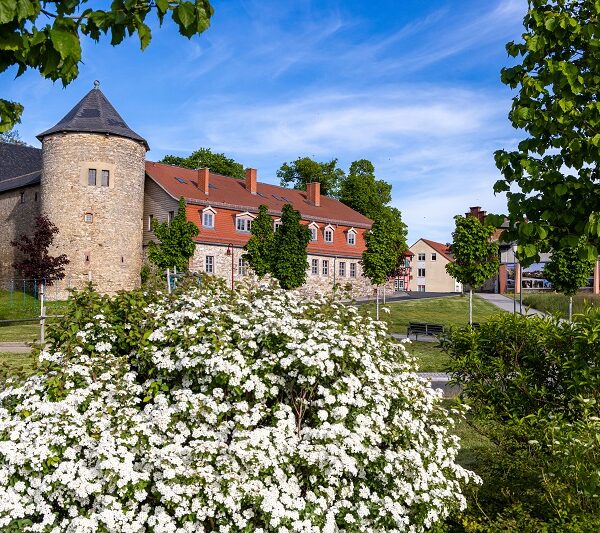 Schloss Harzgerode Harz