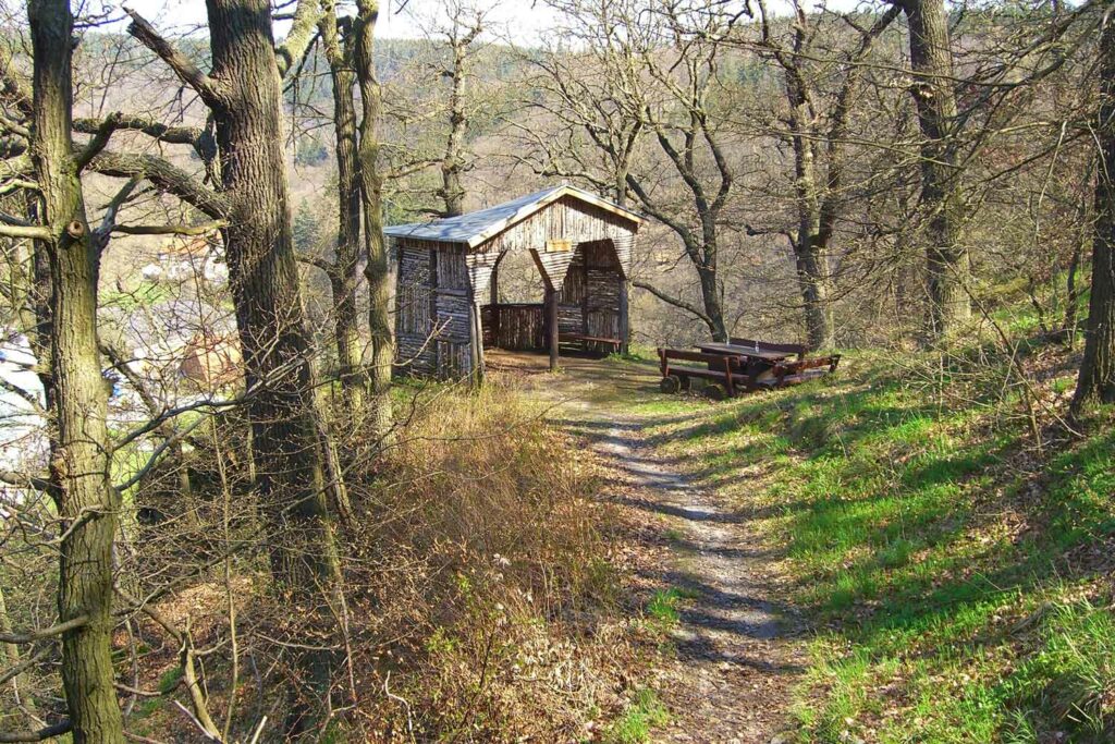 Harzgerode Birkenhäusschen im Wald