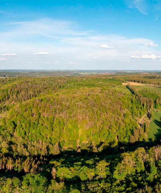 Drohnenfoto von Güntersberge in Harzgerode im Selketal