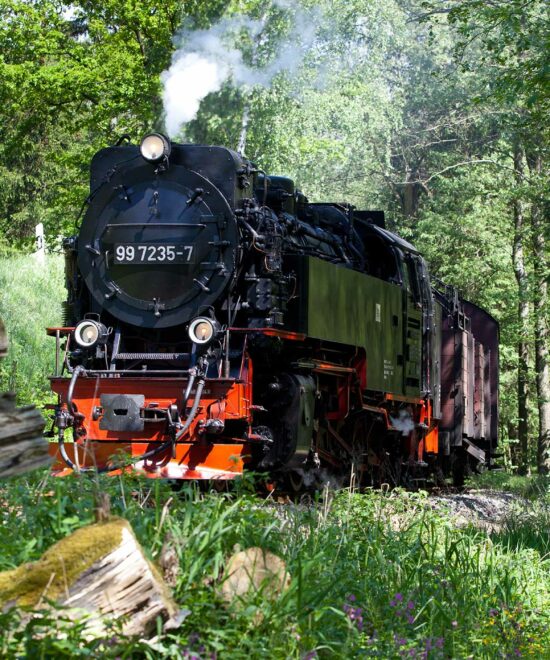 Selketalbahn fährt durch den Harzer Wald