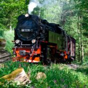 Die dampfbetriebene Selketalbahn schnauft durch die grünen Wälder des Harzes.