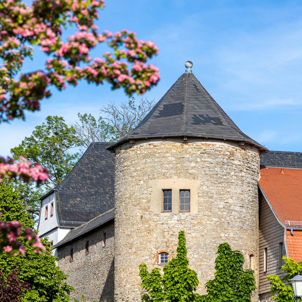  Schloss Harzgerode