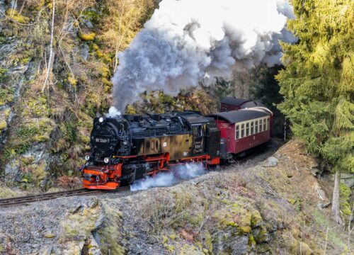 Urlauber fahren gratis mit der Selketalbahn