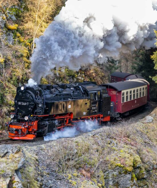 Urlauber fahren gratis mit der Selketalbahn