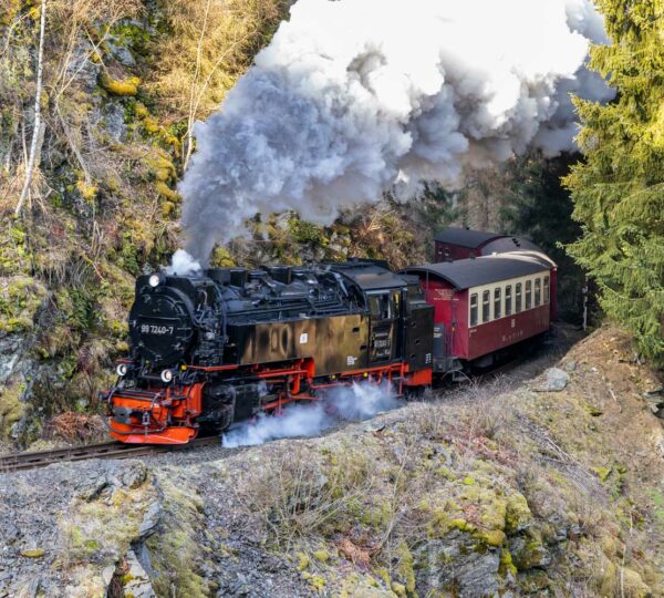 Urlauber fahren gratis mit der Selketalbahn