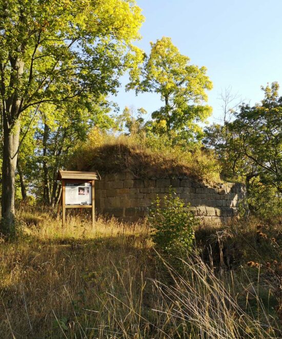 Burgruine Anhalt