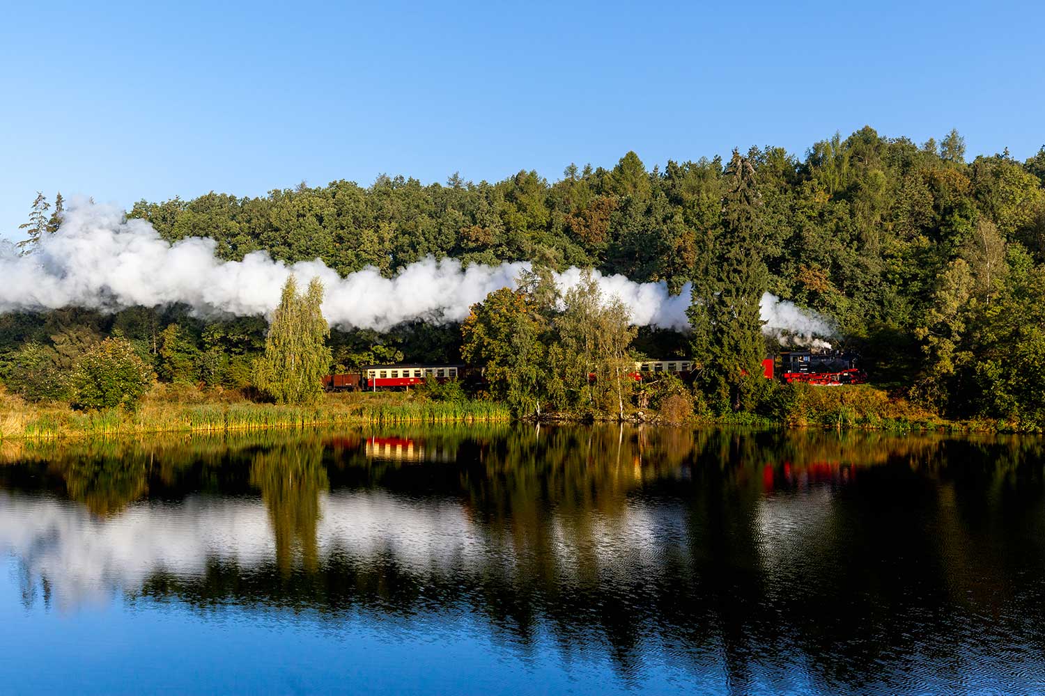 Die Selketalbahn fährt dampfend durch das herbstliche Selketal.