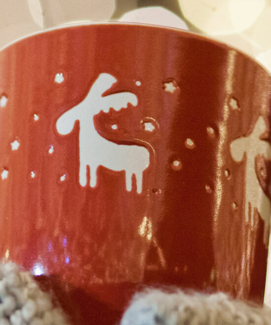 Weihnachtszauber im Selketal