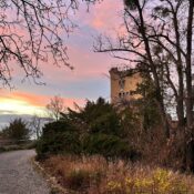 Schöner Kontrast zum Abendrot: Die Roseburg in Ballenstedt.