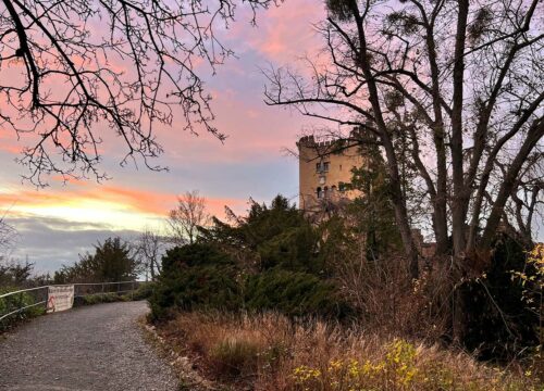 „Adventsknäckerchen” auf der Roseburg