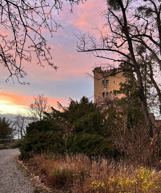 „Adventsknäckerchen” auf der Roseburg