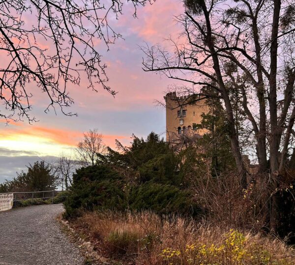 „Adventsknäckerchen” auf der Roseburg
