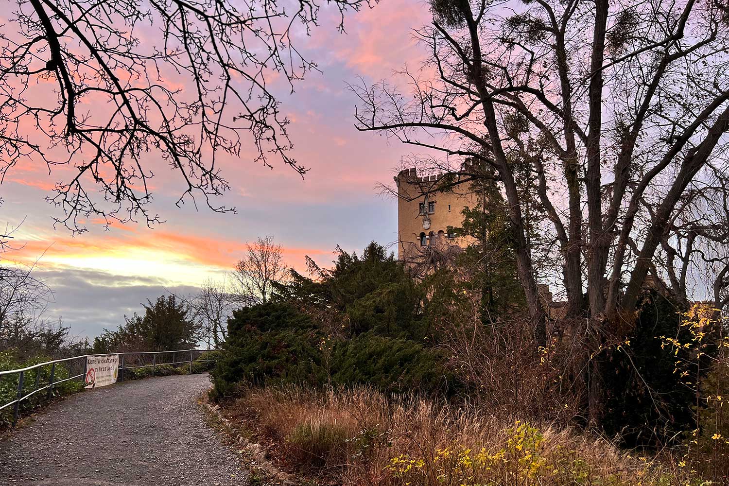 Schöner Kontrast zum Abendrot: Die Roseburg in Ballenstedt.