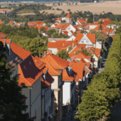 AlleeBallenstedt Website-resized©Adobe-Stock_dk-fotowelt (1500 x 1000 px)