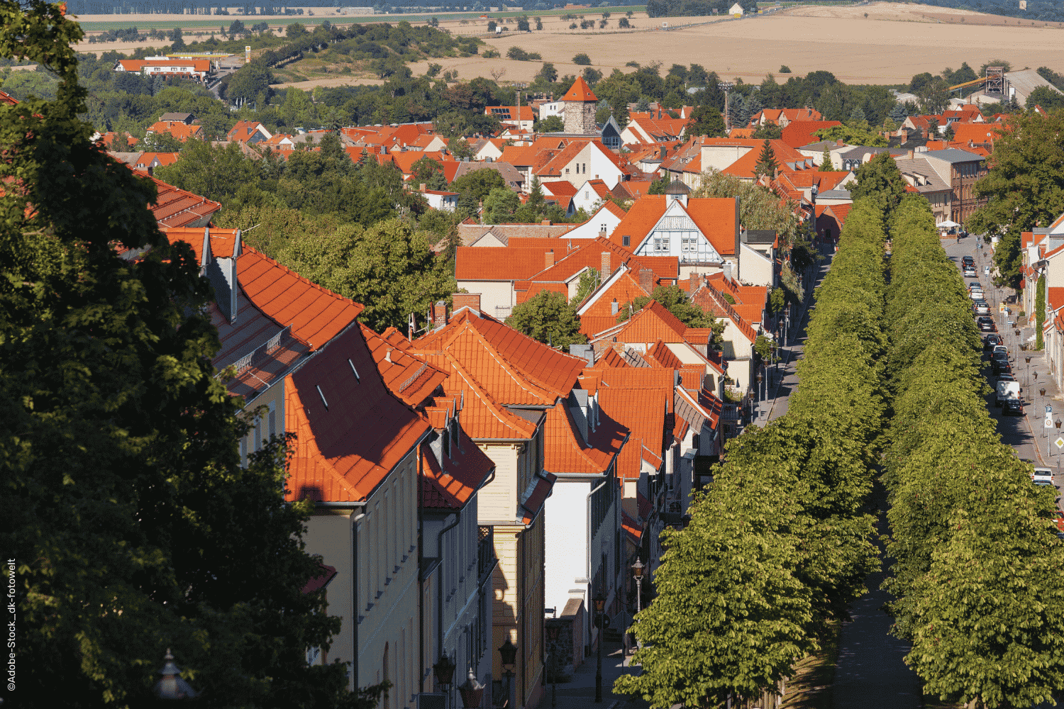 Alleeführung „Von Bären bis Bardua“ 