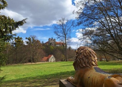 Der Schlosspark Ballenstedt im Wandel