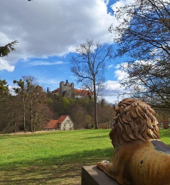 Der Schlosspark Ballenstedt im Wandel
