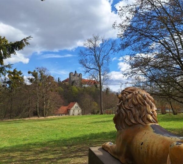 Der Schlosspark Ballenstedt im Wandel